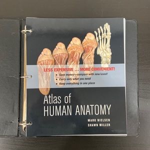 Atlas of Human Anatomy (Picture look book) - Anatomy and Physiology textbook